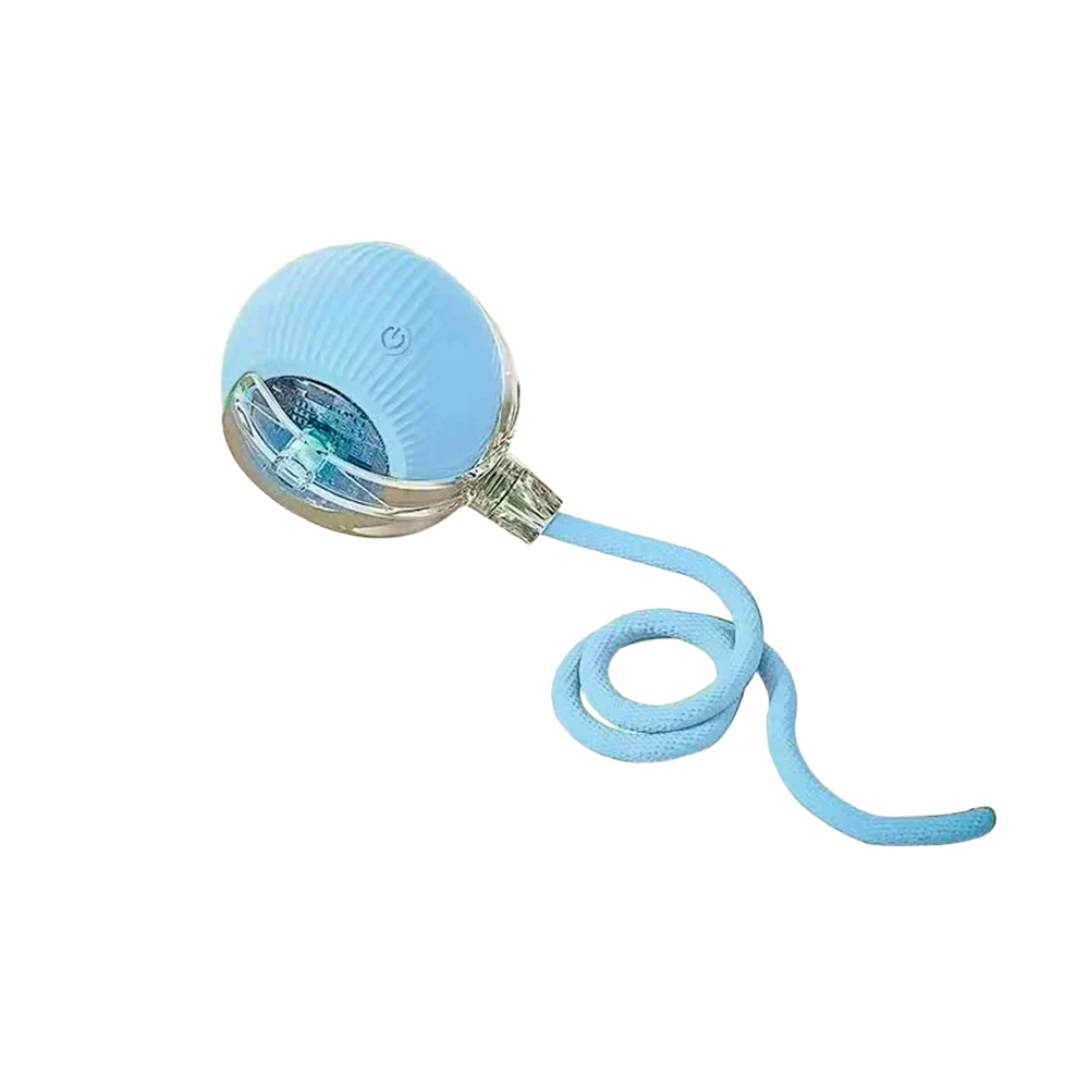 jouet interactif bleu pour chiens