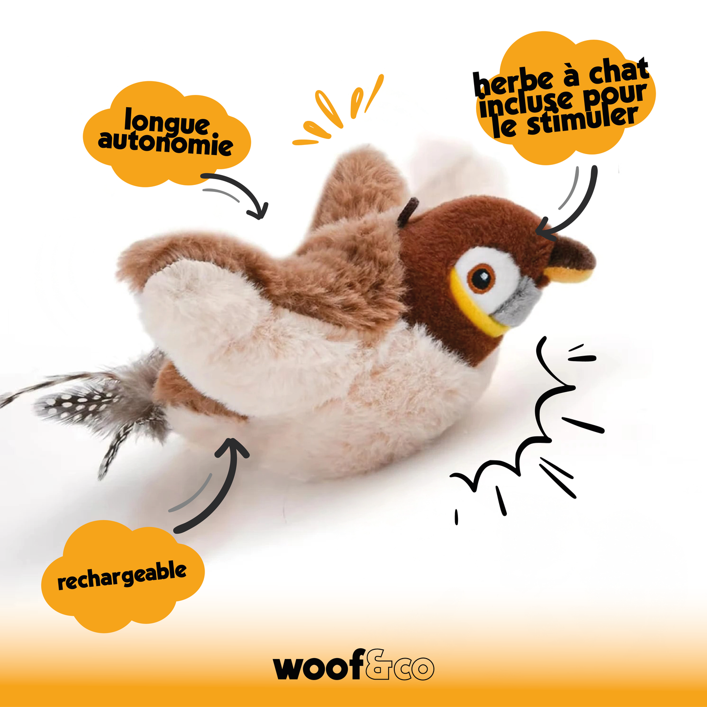 oiseau interactif avec herbe à chat