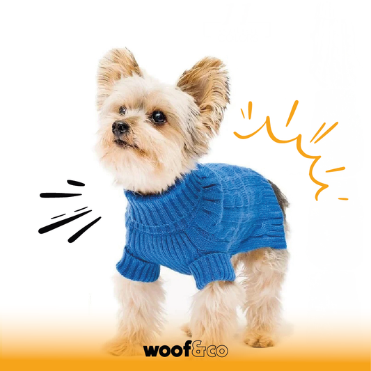 Pull col en laine roulé pour chiens bleu coupe ajustée