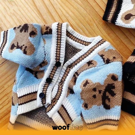 /cardigan-pour-chats-a-motif
