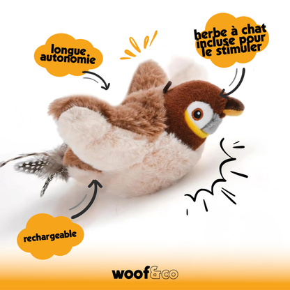 oiseau interactif avec herbe à chat