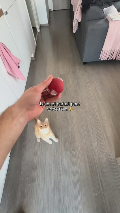 Balle interactive pour chiens et chats - WoofBall ®