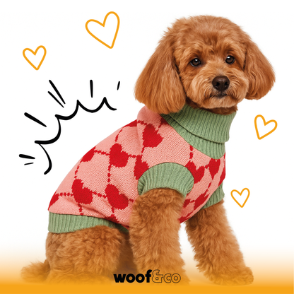 tricot-en-laine-pour-chiens-a-motif-coeur