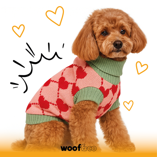 tricot-en-laine-pour-chiens-a-motif-coeur